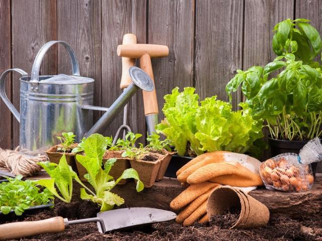 Retrouvez prochainement les dernières créations de votre jardinier Paysagiste