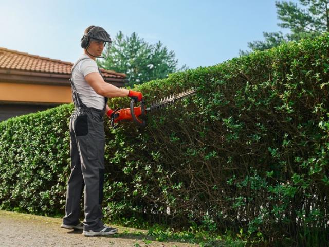 Retrouvez prochainement les dernières créations de votre jardinier Paysagiste